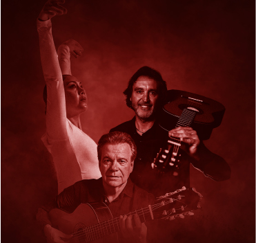 Imagen de Rambleta Flamenca by Mediterranean Guitar