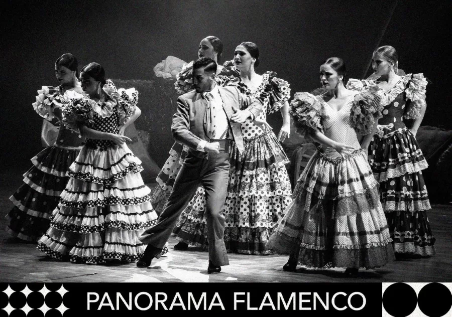 Imagen de Carmen. Ballet Flamenco Barcelona