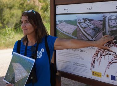 Imagen de La Albufera. Jornada de pensamiento anfibio
