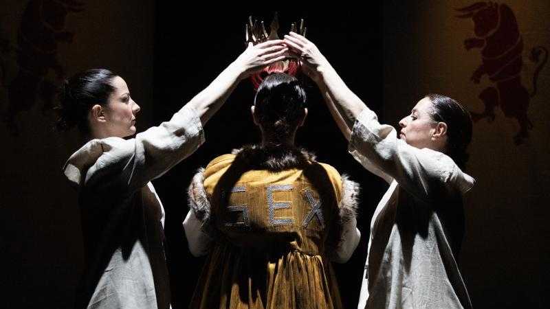 Imagen de La reina brava