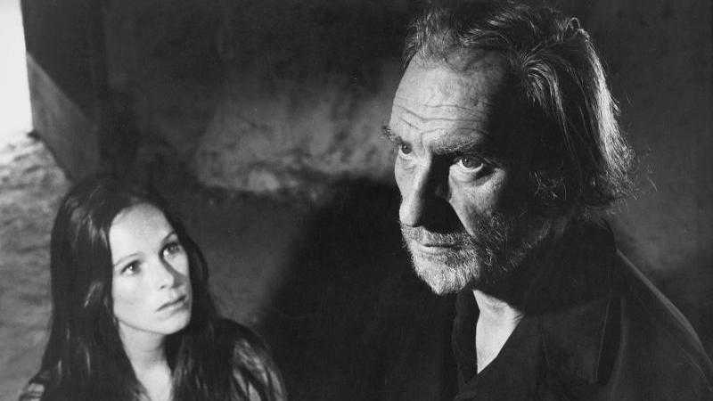 Imagen de Ana y los lobos