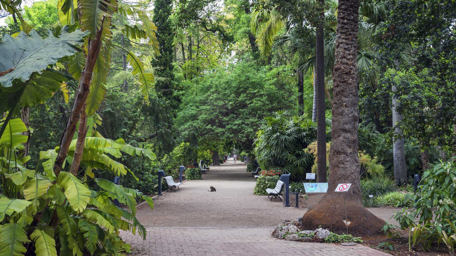 Imagen de Jardín Botánico de València