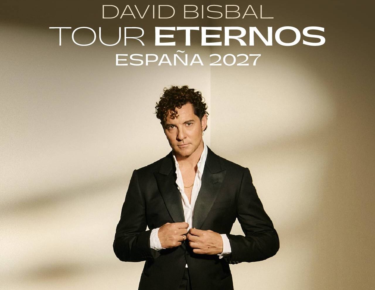 Imagen de David Bisbal - Tour Eternos